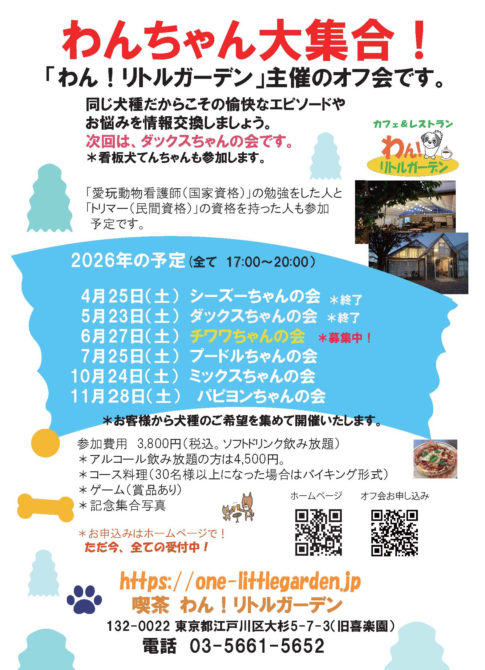 オフ会チワワちゃんの会2026-06-